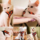 Coleira de poliester para cães e gatos